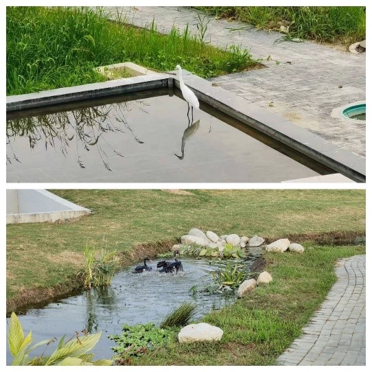 于“山水林田湖草沙”间 书写乳业绿色发展新篇章 ——蒙牛集团全产业链践行“两山”理念纪实_fororder_4