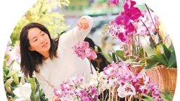 盘点今年“双11”的新变化