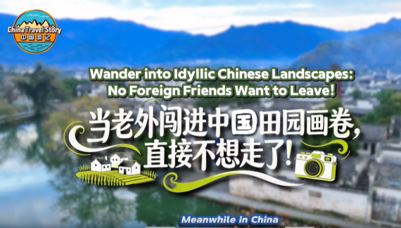 【“中国游记”第二季㉕】当老外闯进中国田园画卷，直接不想走了！_fororder_古城