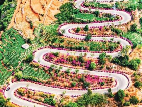 这些工程，“美得像AI”（这不是AI，这是实景·交通篇）