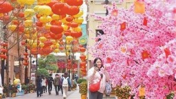 港澳献上迎春贺岁文旅盛宴
