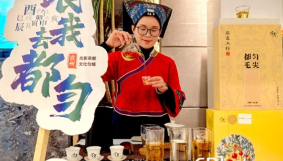 “都匀毛尖”品牌盛会“放大招” 邀您共赴茶旅盛宴_fororder_茶品