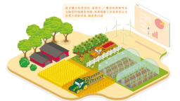 政策性农担这样稳粮富农（财经深一度）