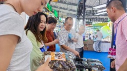 粮交会看“全谷物行动计划”推广：要好吃也要健康