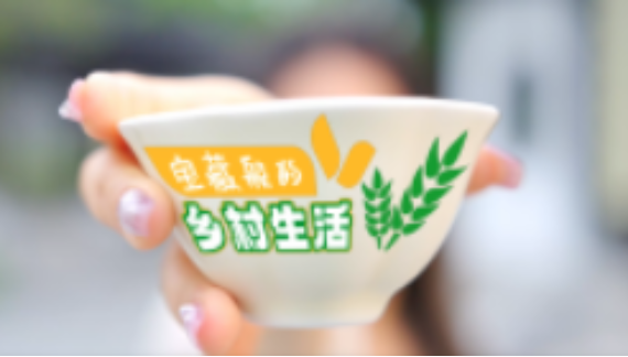 《宝藏般的乡村生活》：春日茶鲜 只此青绿_fororder_71