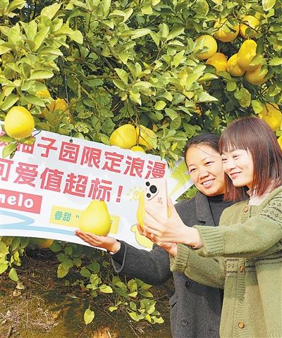 乡村文旅消费热