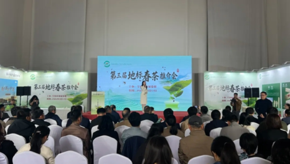 2026贵州绿茶全国行·北京站启幕_fororder_活动侠女