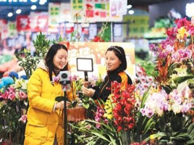 更大力度支持惠民生和提振消费