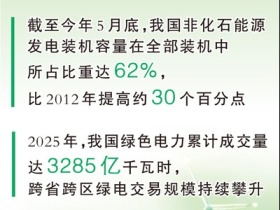 人工智能加速发展 如何推进算电协同？