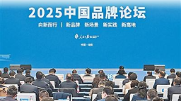 加强品牌建设  推动高质量发展