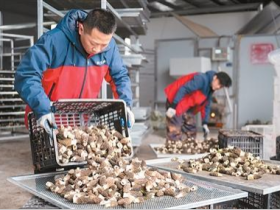 中国经济起步有力（锐财经）