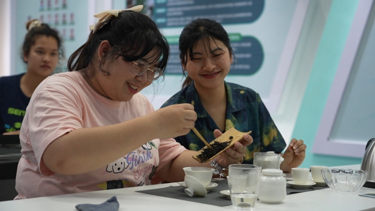 广西兴业县举办茶文化主题系列活动吸引游客_fororder_微信图片_20250430110111