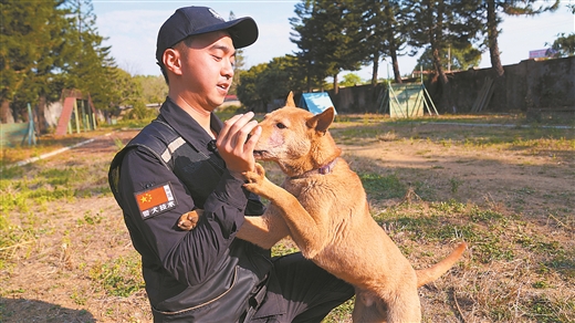 真飒！广西山地犬成“警犬奇兵”