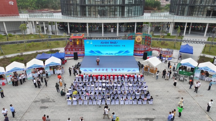 广西兴业县举办茶文化主题系列活动吸引游客_fororder_微信图片_20250430110117