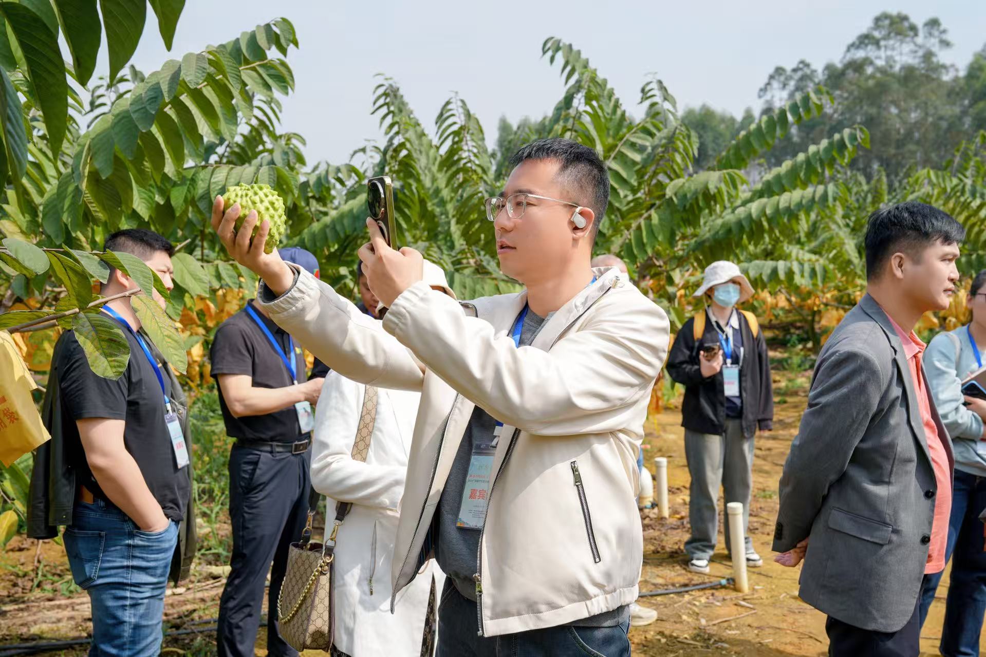 50位采购商溯源“八桂优果” 产销对接助力“桂果出海”_fororder_2