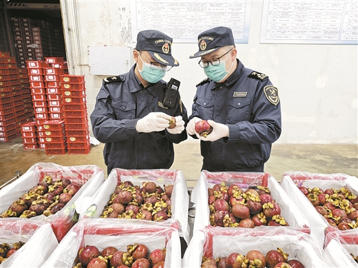 钦州港货物加速通关