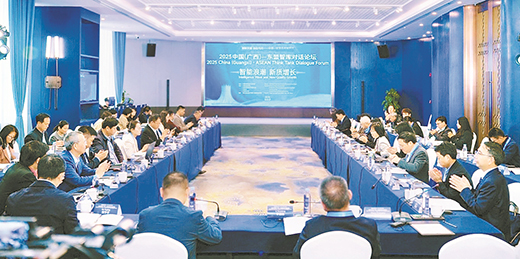 2025中国(广西)—东盟智库对话论坛凝聚发展共识