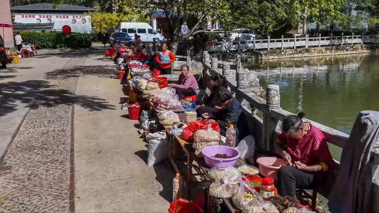桂林灵川：百万株银杏“披金”引客来_fororder_4