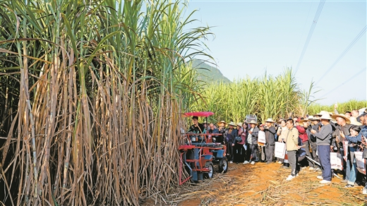 “滴滴农机”上线接单