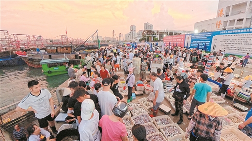 侨港海鲜“游”向全国_fororder_8885467_hhb_1757036398520_b