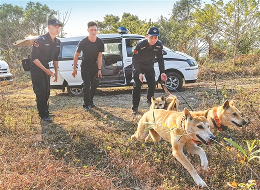 真飒！广西山地犬成“警犬奇兵”