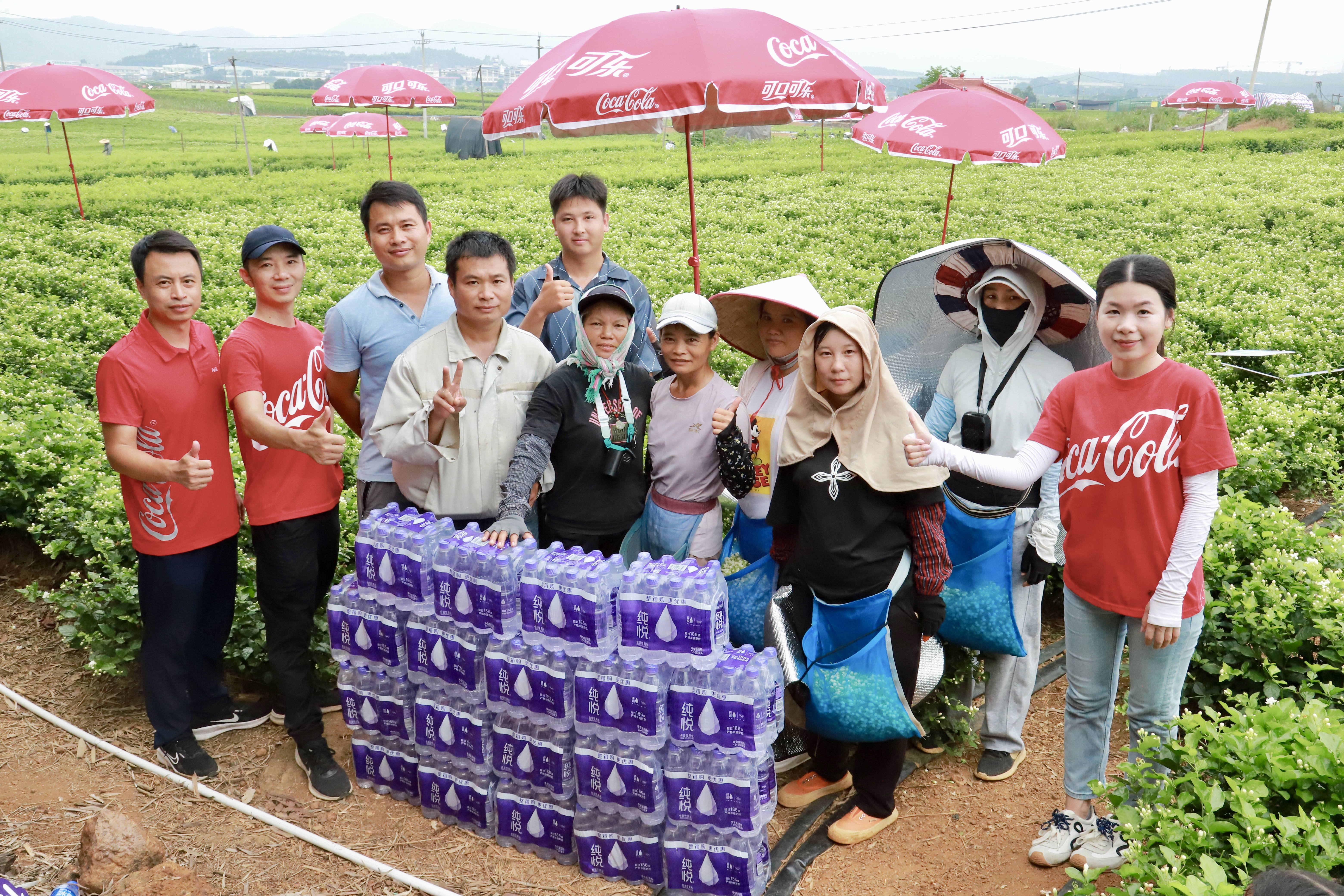 丰收季助农采收 广西太古可口可乐累计送出超20万瓶饮用水