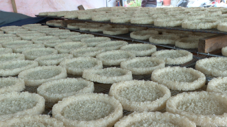 广西兴业县：非遗美食香飘街巷 千年手艺焕发生机