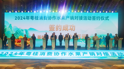 2024年粤桂消费协作水果产销对接活动举行 签约金额超6000万元