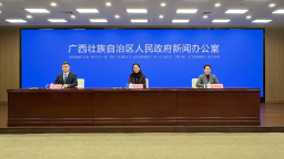 图片默认标题