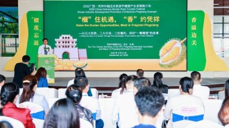 广西凭祥市举办榴莲产业发展推介会