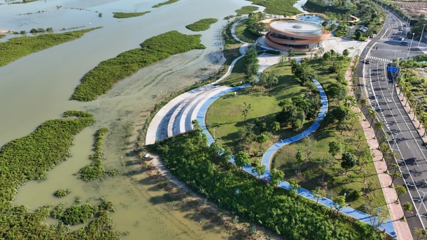 广西钦州孔雀湾生态修复项目荣获首届联合国“海洋十年”海洋生态保护修复大赛奖