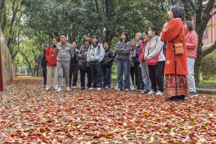 桂林：缤纷“落叶毯”引游人醉赏_fororder_2