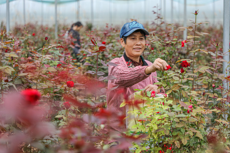 桂林灵川：“颜值”变“产值” “美丽经济”激活乡村发展新动能_fororder_1