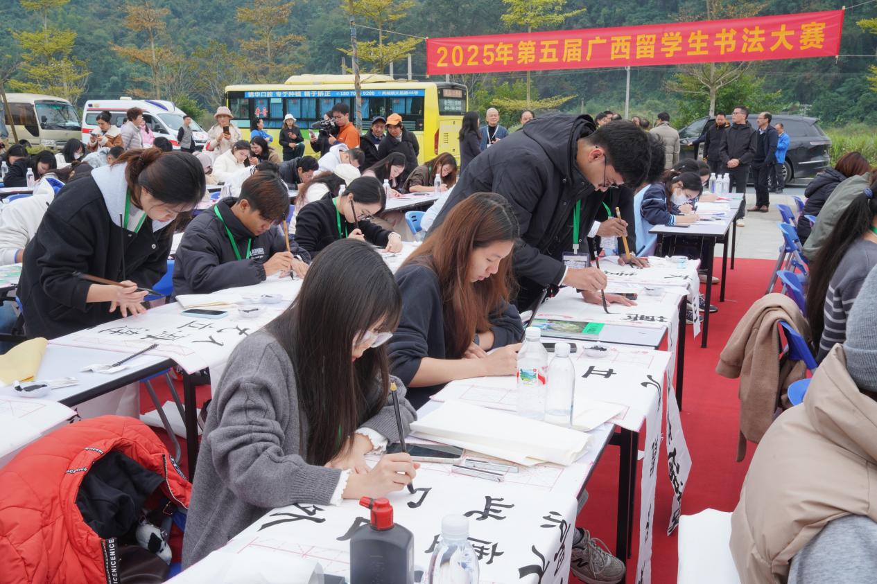 15国留学生齐聚广西凤山 笔墨传情演绎中华书法之美