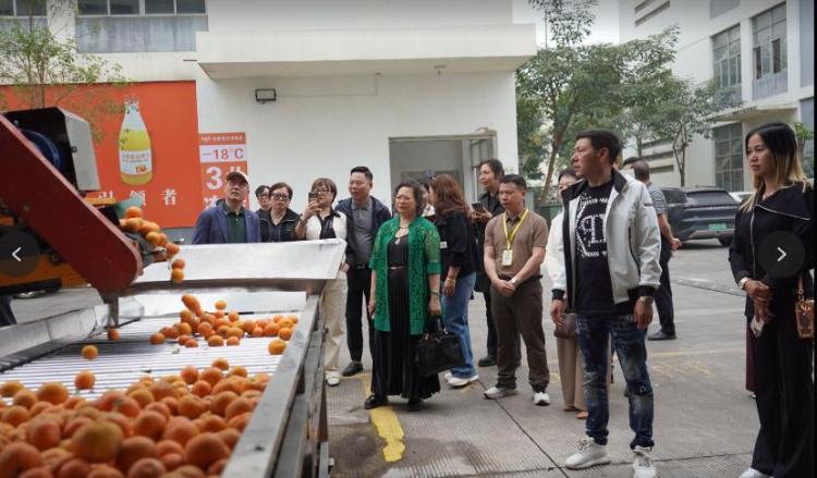 意大利华人华侨“组团”赴南宁交流 共谋合作与发展_fororder_2