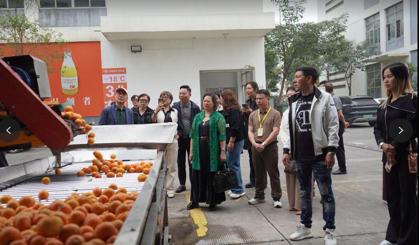 意大利华人华侨“组团”赴南宁交流 共谋合作与发展_fororder_2
