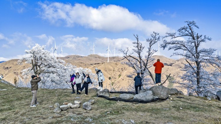 桂林高寒山区现冰挂雾凇美景_fororder_6