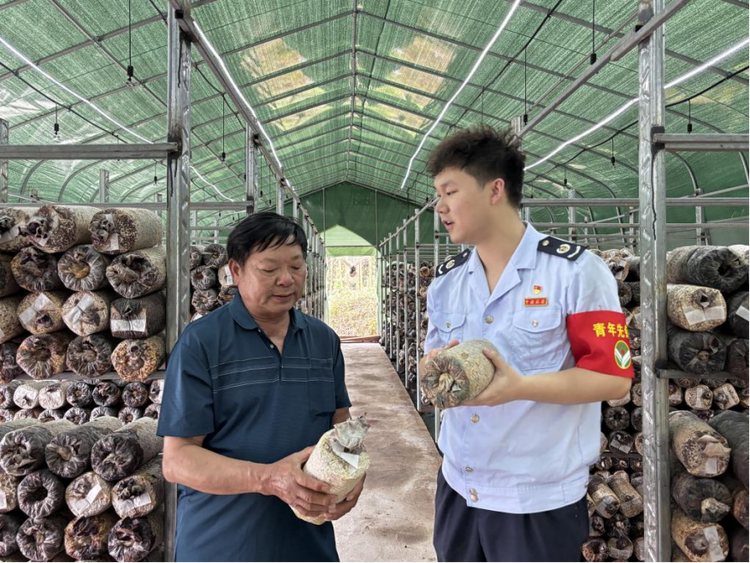 万千气象看广西｜税惠政策助推广西农业强区建设