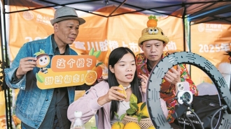 田间直播带火富川脐橙