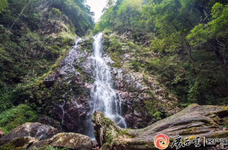广西地市级首个！滑水冲自然保护区喜提自然资源“户口本”
