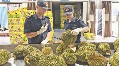 凭祥外贸“换芯”记