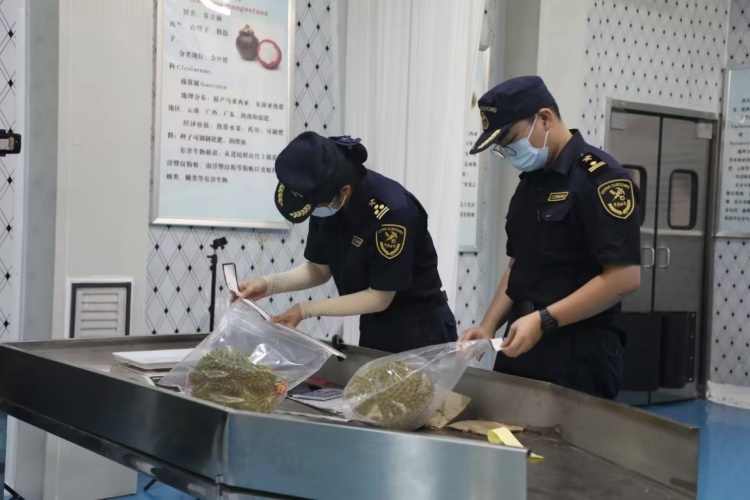 水口口岸二桥监管货场启用 日通关量可容纳1500柜重车_fororder_2