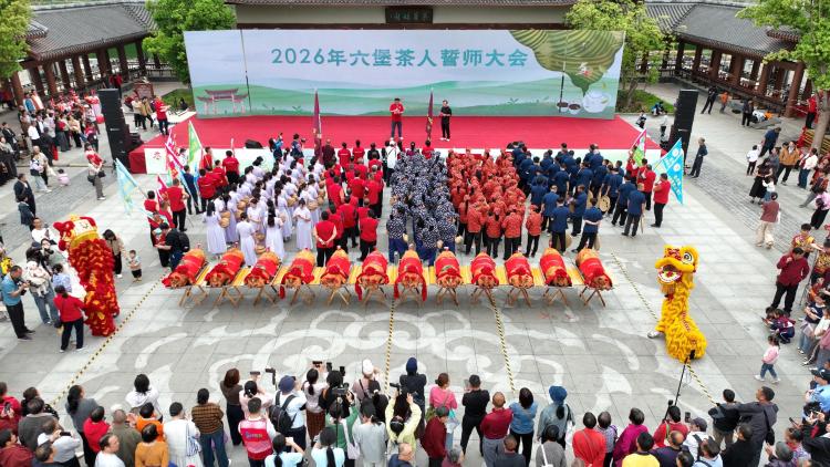 广西苍梧县举办六堡茶开茶节 17项活动解锁茶乡新玩法_fororder_1