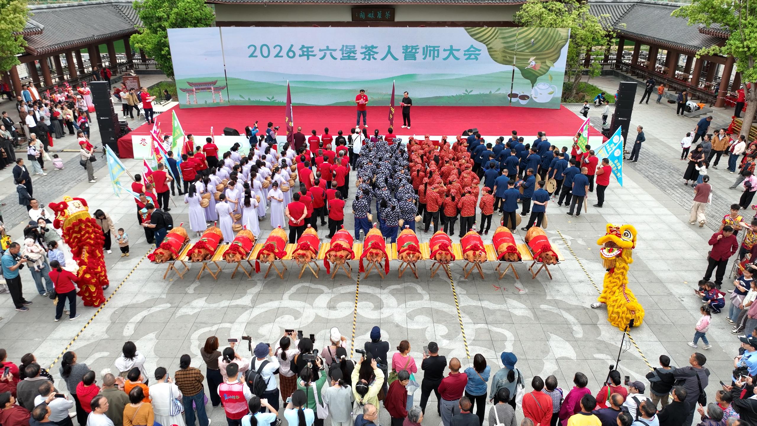 广西苍梧县举办六堡茶开茶节 17项活动解锁茶乡新玩法_fororder_1
