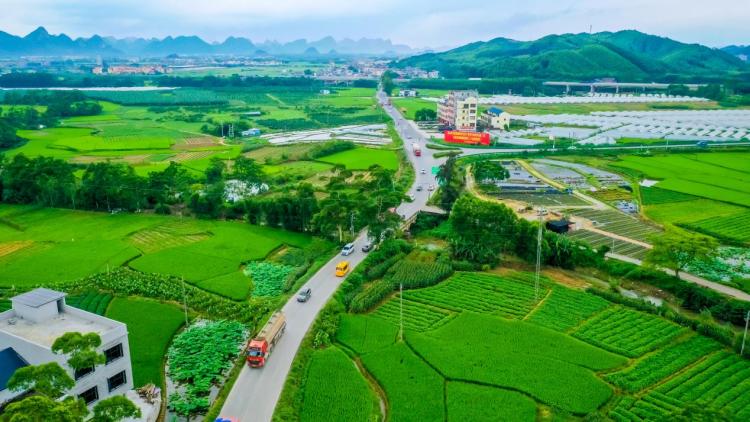 贵港：“壮美公路”绘就乡村振兴新图景_fororder_4