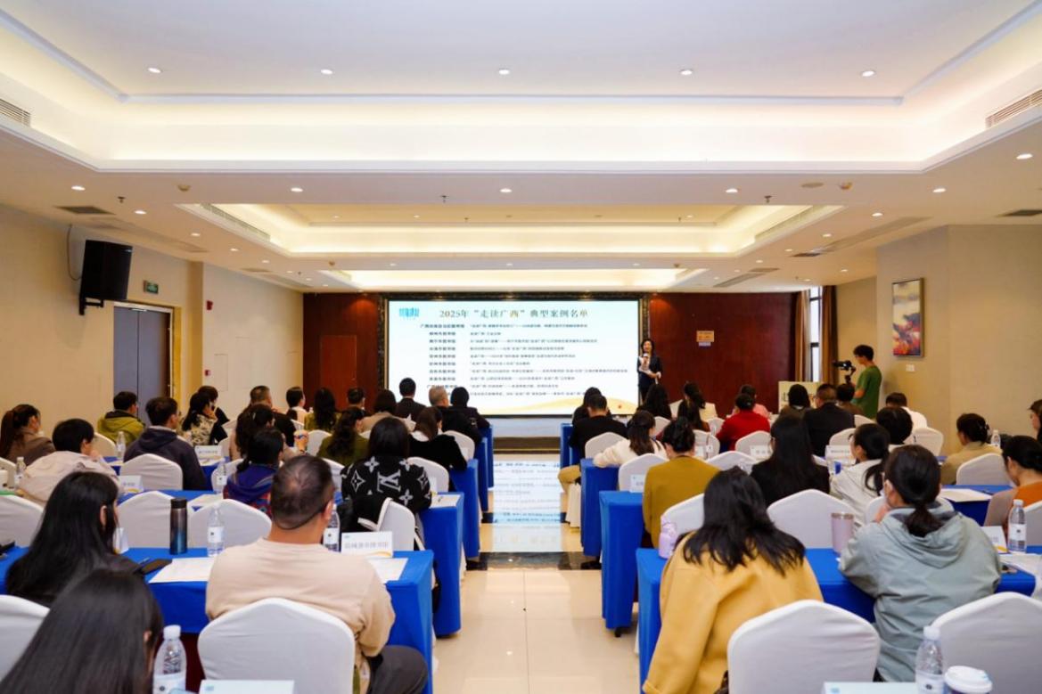 2025年“走读广西”案例分享暨工作总结会召开_fororder_1