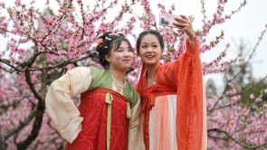 广西灵川：万亩桃花绽放 绘就春日画卷