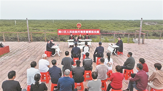 司法护航八桂青绿 ——广西法院推动筑牢南方重要生态安全屏障