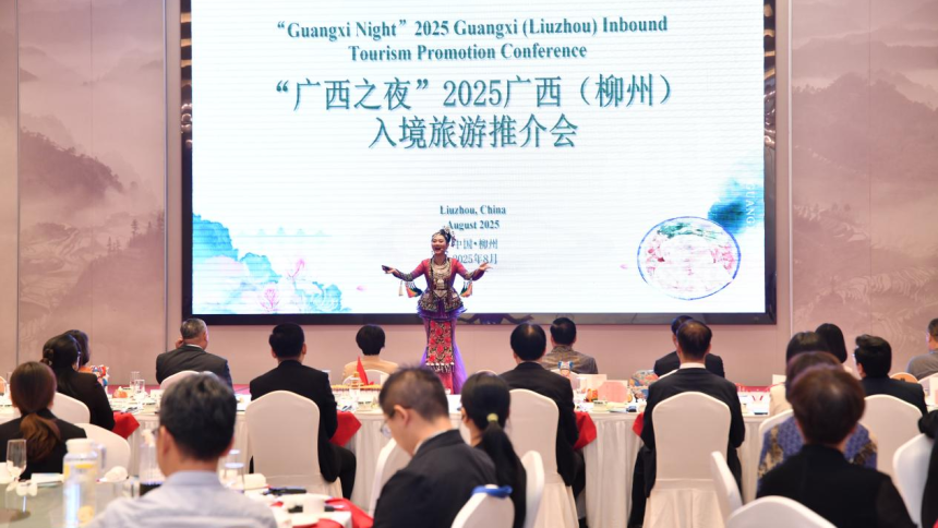 2025面向东盟文化交流合作论坛在广西柳州举办