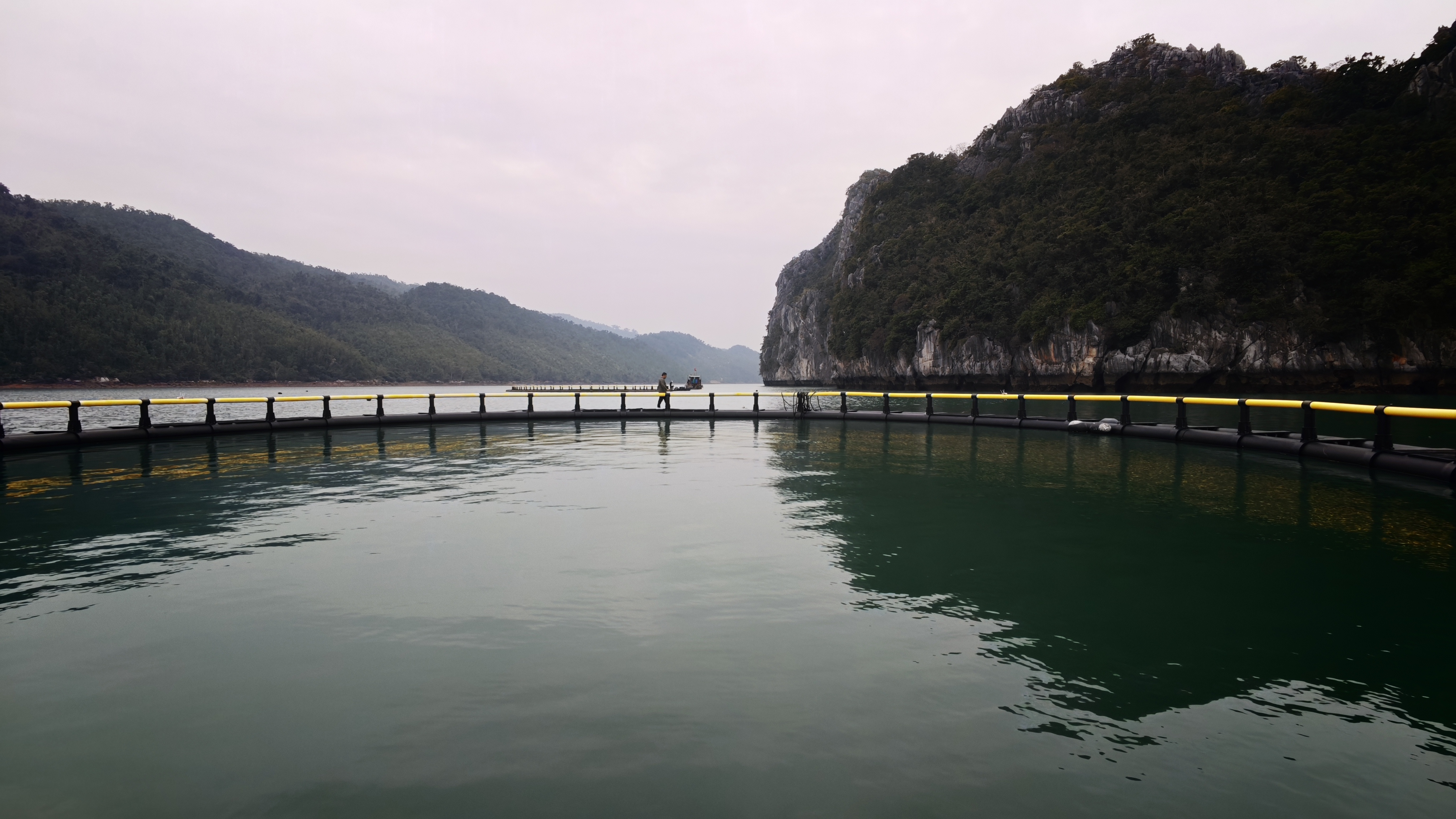 广西AI赋能越南渔业发展 下龙湾首个智慧深水网箱建成下水_fororder_1